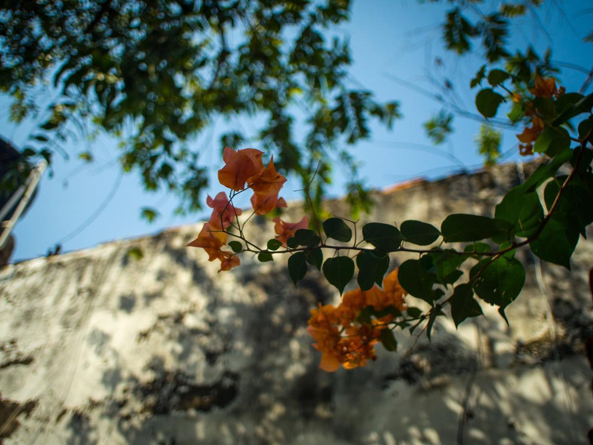 Pueblito Magico Hostel - Mompox Zewnętrze zdjęcie